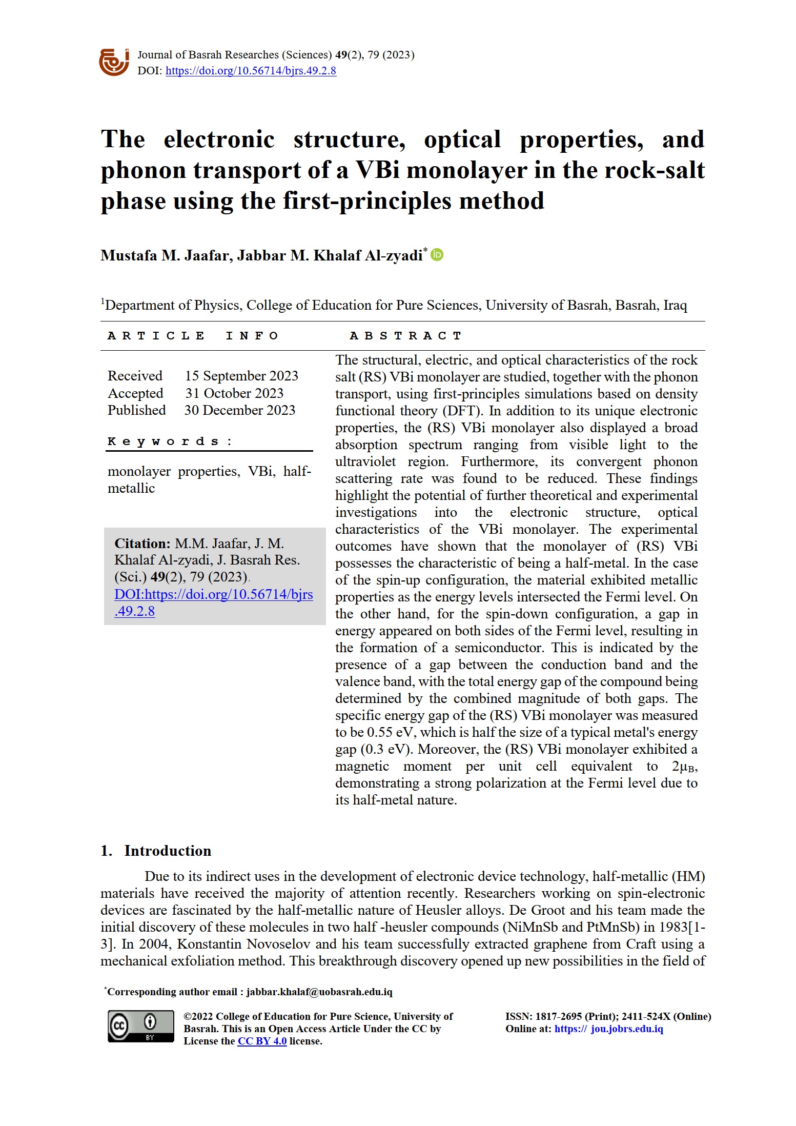 The electronic structure, optical properties, and phonon transport of a VBi monolayer in the rock-salt phase using the first-principles method
